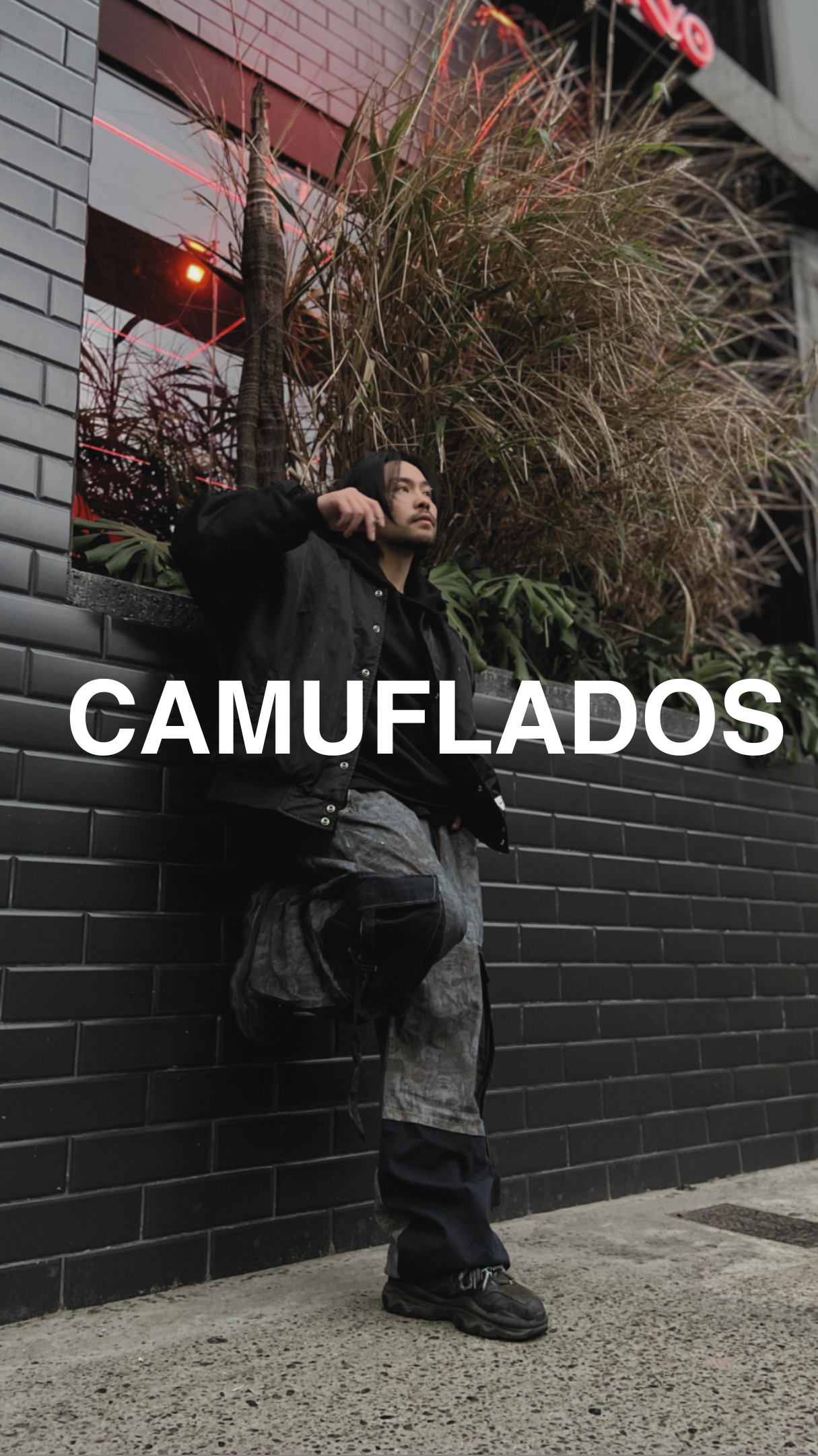 CAMUFLADOS